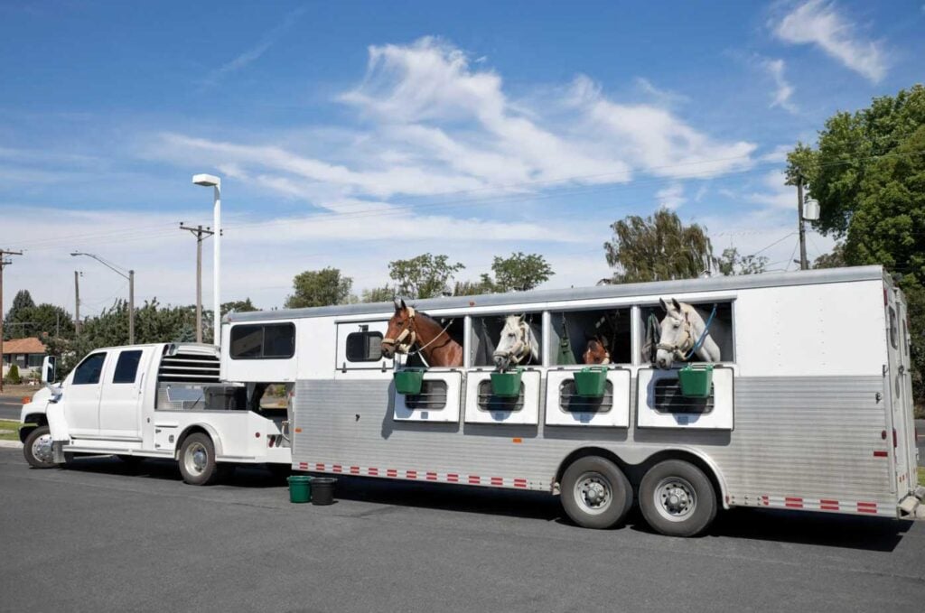A horse trailer financed through a horse trailer loan with horses sticking their heads out of the windows